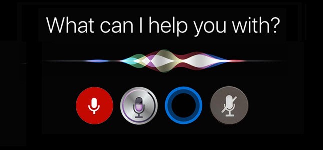 voice search 2020